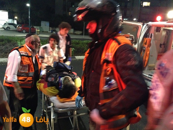 shaccmidnighty114 (5).jpg